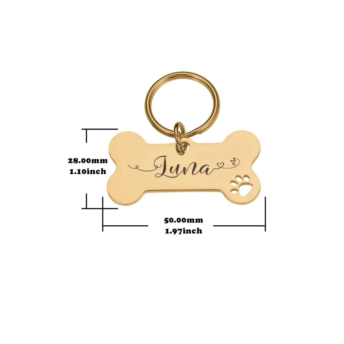 • TailUP – Médaille personnalisée pour chien