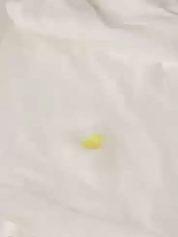 TACH’OFF – Effaceur de Taches Instantané